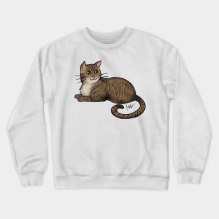 Cat - American Shorthair - Brown Tabby Crewneck Sweatshirt